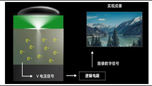 CIS 高端市场供需失衡与国产替代突围战开元棋牌app像素视界下的破局之路：车载(图2)