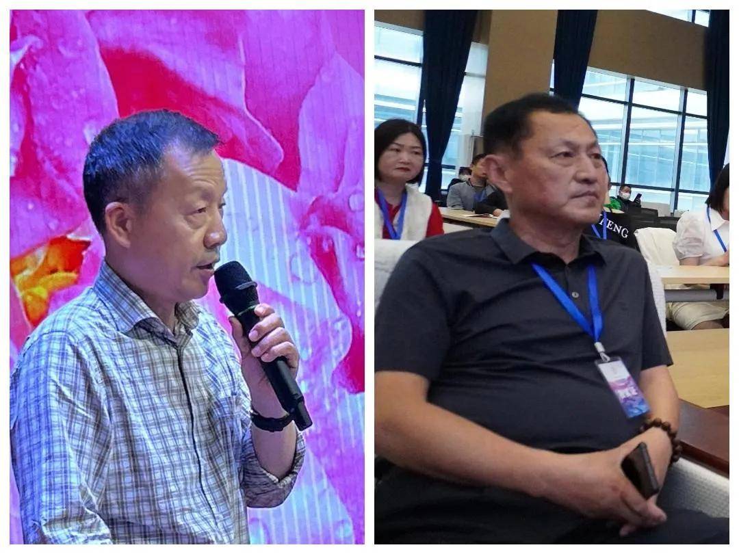 活力赋能乡村振兴大健康开元棋牌绽放芳香产业新(图3)